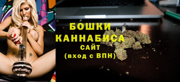 mdpv Каменка