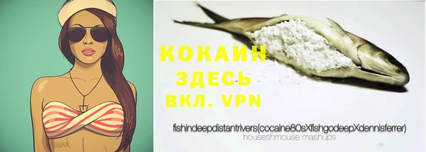mdpv Каменка