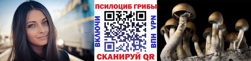 Купить  Тарко-Сале  Галлюциногенные грибы MAGIC MUSHROOMS 